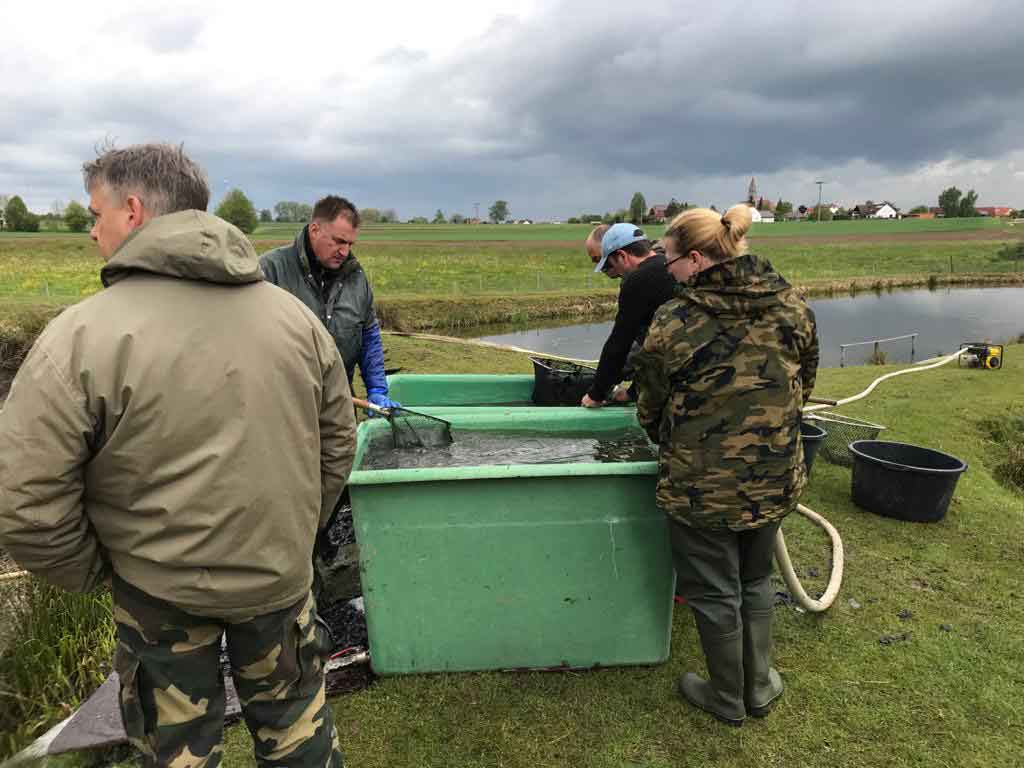 Arbeitsdienst – Bild 1