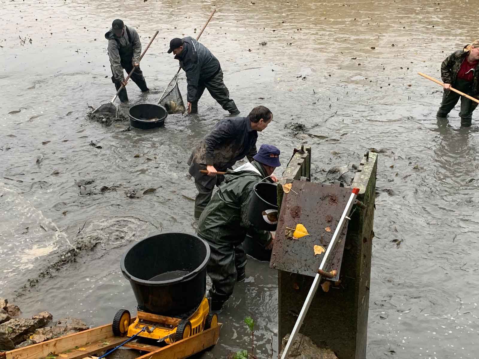 Arbeitsdienst – Bild 2