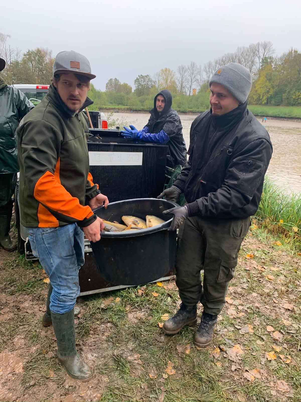 Arbeitsdienst – Bild 3